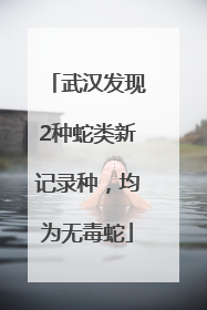 武汉发现2种蛇类新记录种，均为无毒蛇