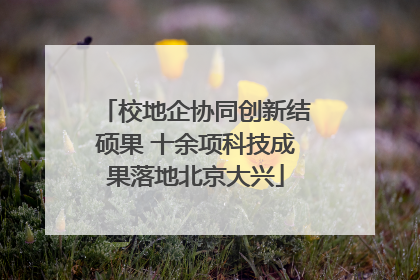 校地企协同创新结硕果 十余项科技成果落地北京大兴