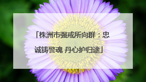 株洲市强戒所向群：忠诚铸警魂 丹心护归途