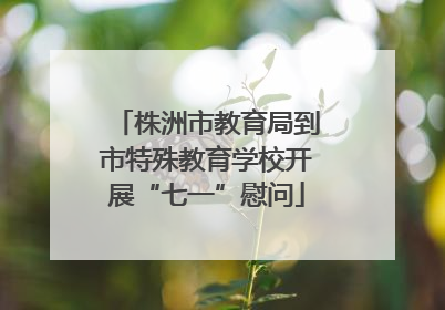 株洲市教育局到市特殊教育学校开展“七一”慰问