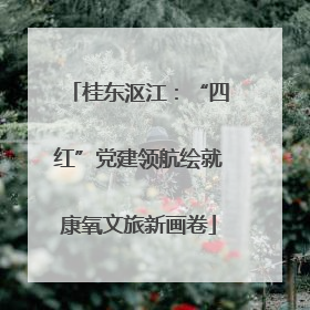 桂东沤江：“四红”党建领航绘就康氧文旅新画卷