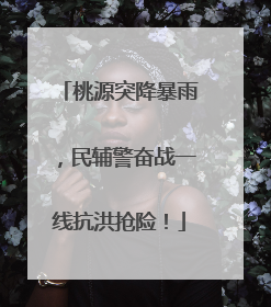 桃源突降暴雨，民辅警奋战一线抗洪抢险！