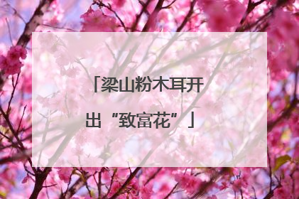 梁山粉木耳开出“致富花”