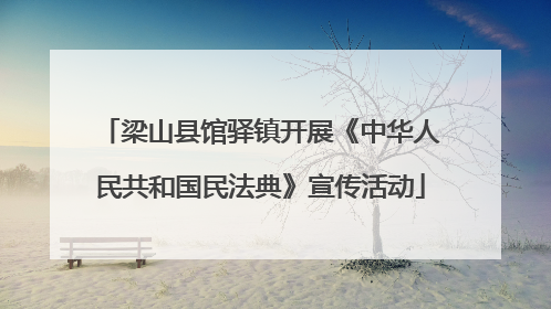 梁山县馆驿镇开展《中华人民共和国民法典》宣传活动