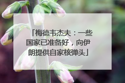 梅德韦杰夫：一些国家已准备好，向伊朗提供自家核弹头