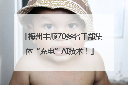 梅州丰顺70多名干部集体“充电”AI技术！