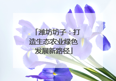 潍坊坊子：打造生态农业绿色发展新路径