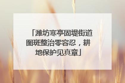 潍坊寒亭固堤街道图斑整治零容忍，耕地保护见真章