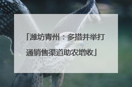 潍坊青州：多措并举打通销售渠道助农增收