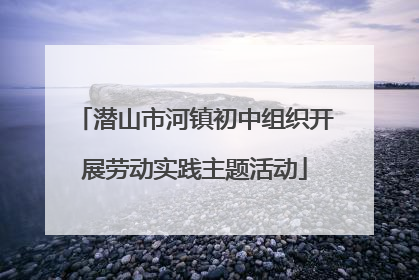 潜山市河镇初中组织开展劳动实践主题活动