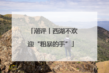 潮评丨西湖不欢迎“粗暴的手”
