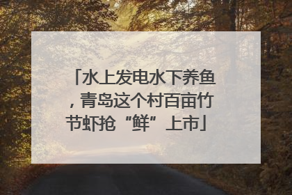 水上发电水下养鱼，青岛这个村百亩竹节虾抢“鲜”上市