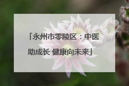永州市零陵区：中医助成长 健康向未来