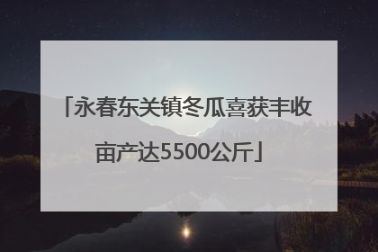 永春东关镇冬瓜喜获丰收 亩产达5500公斤