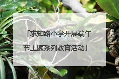 求知路小学开展端午节主题系列教育活动