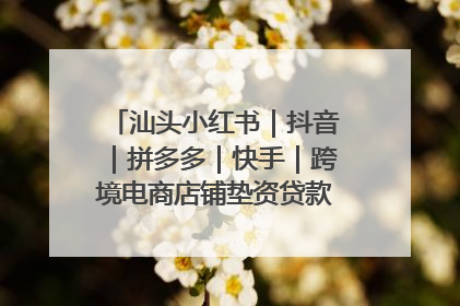 汕头小红书｜抖音｜拼多多｜快手｜跨境电商店铺垫资贷款企业-漫商易