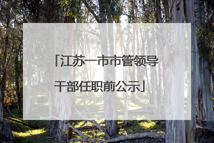 江苏一市市管领导干部任职前公示