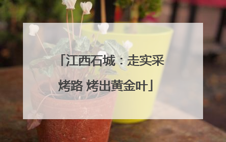 江西石城：走实采烤路 烤出黄金叶