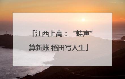 江西上高：“蛙声”算新账 稻田写人生