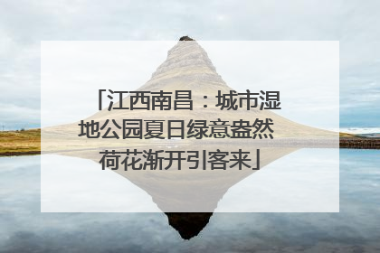 江西南昌：城市湿地公园夏日绿意盎然 荷花渐开引客来