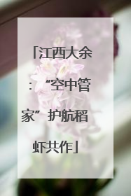江西大余：“空中管家”护航稻虾共作