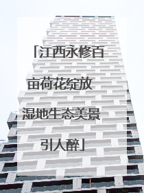 江西永修百亩荷花绽放 湿地生态美景引人醉