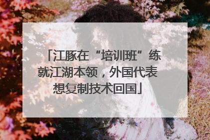 江豚在“培训班”练就江湖本领，外国代表想复制技术回国