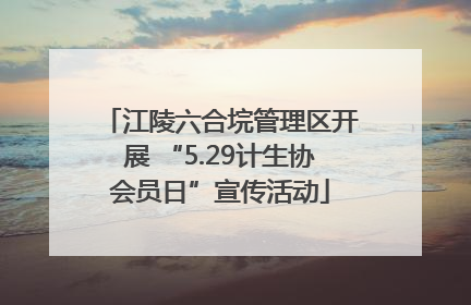 江陵六合垸管理区开展 “5.29计生协会员日”宣传活动