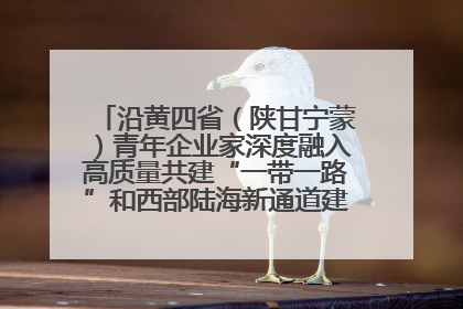 沿黄四省（陕甘宁蒙）青年企业家深度融入高质量共建“一带一路”和西部陆海新通道建设战略合作交流会在甘肃兰州召开