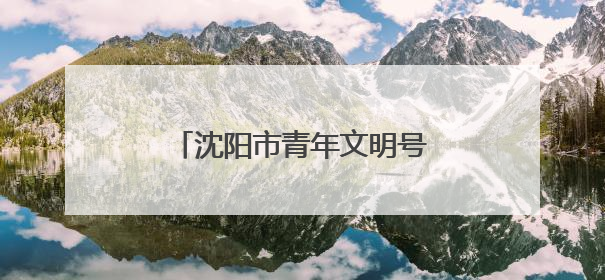 沈阳市青年文明号开放日活动举办