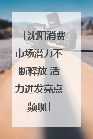 沈阳消费市场潜力不断释放 活力迸发亮点频现