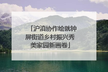 沪滇协作绘就钟屏街道乡村振兴秀美家园新画卷
