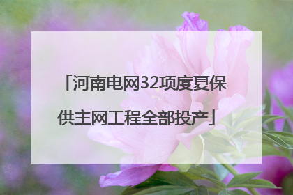 河南电网32项度夏保供主网工程全部投产