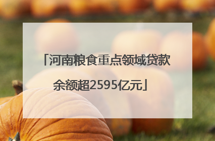 河南粮食重点领域贷款余额超2595亿元