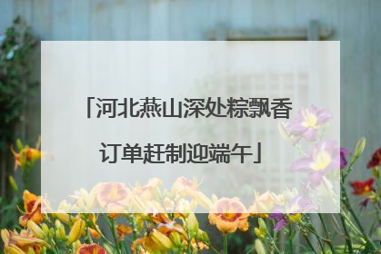 河北燕山深处粽飘香 订单赶制迎端午