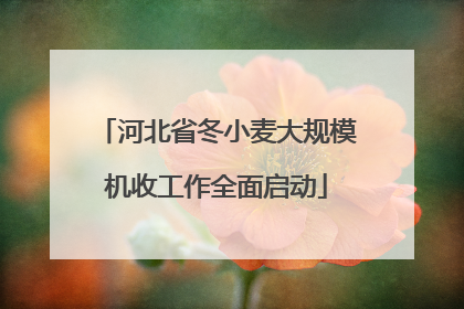 河北省冬小麦大规模机收工作全面启动