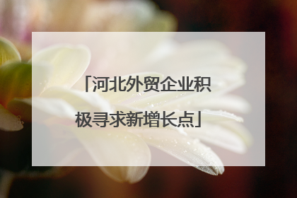 河北外贸企业积极寻求新增长点