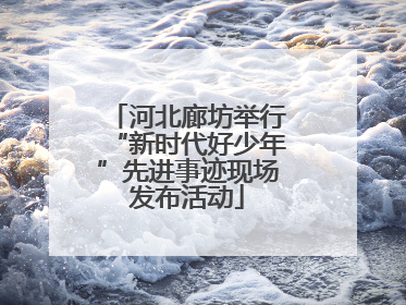 河北廊坊举行“新时代好少年”先进事迹现场发布活动