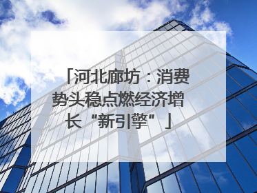 河北廊坊：消费势头稳点燃经济增长“新引擎”