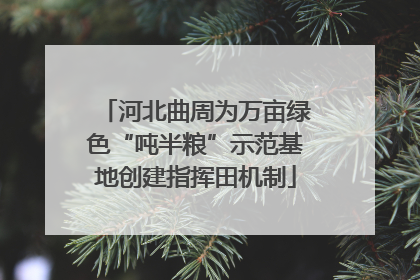 河北曲周为万亩绿色“吨半粮”示范基地创建指挥田机制