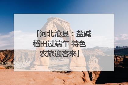 河北沧县：盐碱稻田过端午 特色农旅迎客来