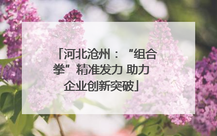 河北沧州：“组合拳”精准发力 助力企业创新突破