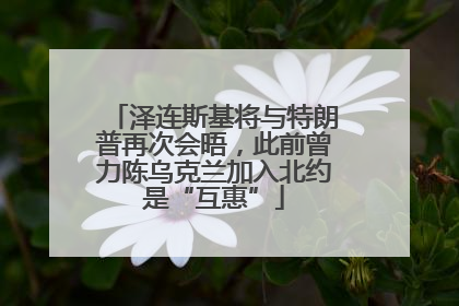 泽连斯基将与特朗普再次会晤，此前曾力陈乌克兰加入北约是“互惠”
