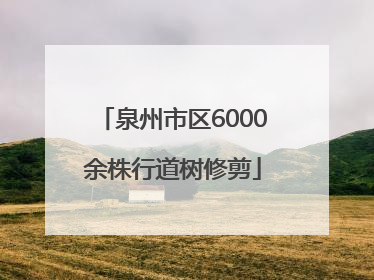 泉州市区6000余株行道树修剪