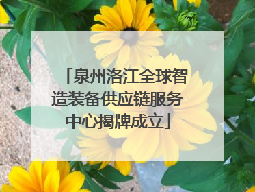 泉州洛江全球智造装备供应链服务中心揭牌成立