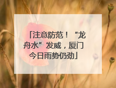 注意防范！“龙舟水”发威，厦门今日雨势仍劲