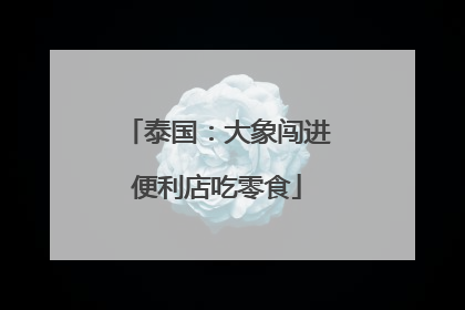 泰国：大象闯进便利店吃零食