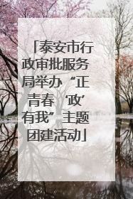 泰安市行政审批服务局举办“正青春‘政’有我”主题团建活动