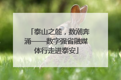 泰山之麓，数潮奔涌——数字强省融媒体行走进泰安