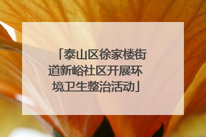 泰山区徐家楼街道新峪社区开展环境卫生整治活动